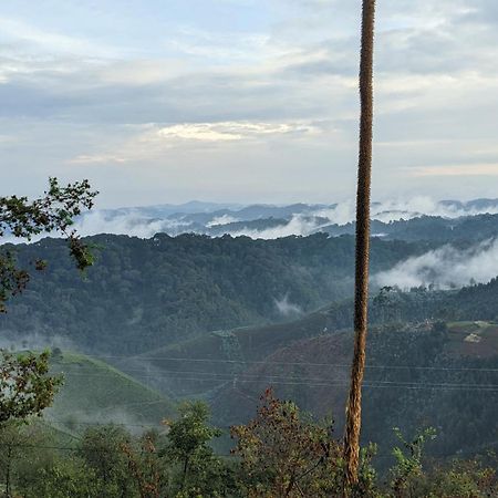 Nyungwe Village Kitabi Extérieur photo